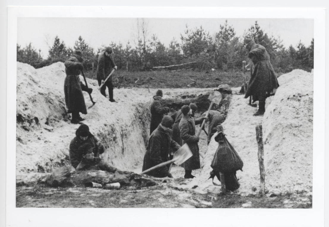 Sowjetische Gefangene des Beerdigungskommandos bringen unter Bewachung Leichen zum Kriegsgefangenenfriedhof Bergen-Belsen. Fotograf unbekannt